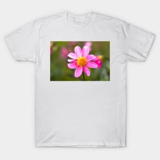 Pink dahlia in garden T-Shirt